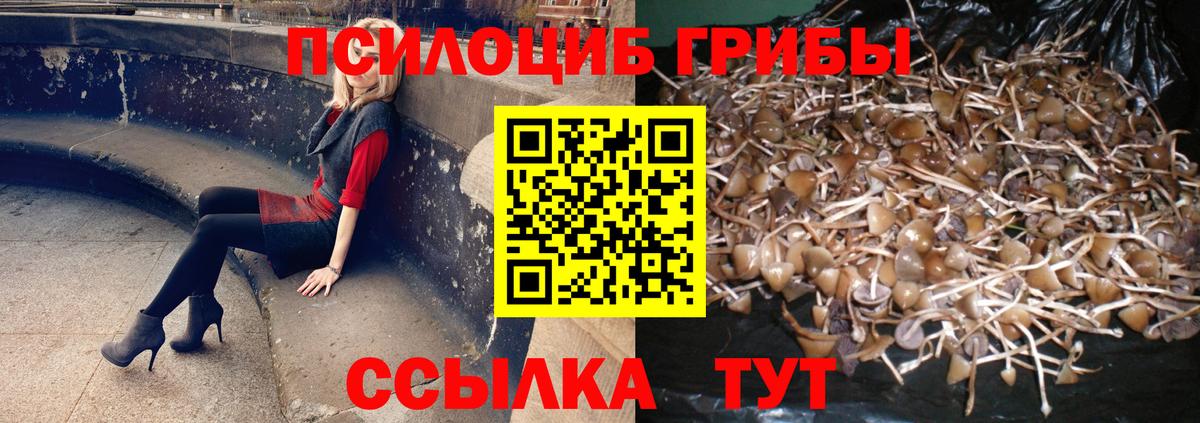 Галлюциногенные грибы Psilocybine cubensis  Псилоцибиновые грибы ЛСД  Вход с VPN  Балашиха 
