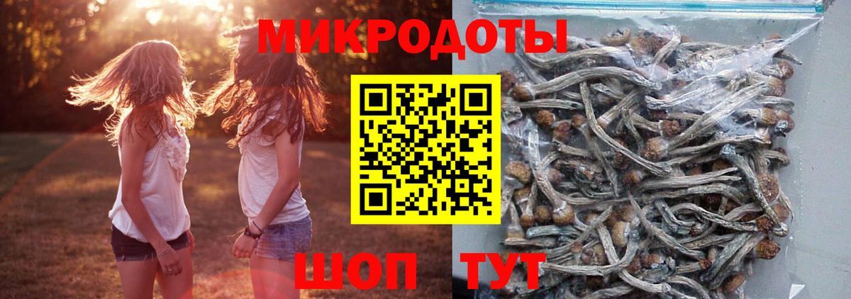 Псилоцибиновые грибы MAGIC MUSHROOMS Балашиха